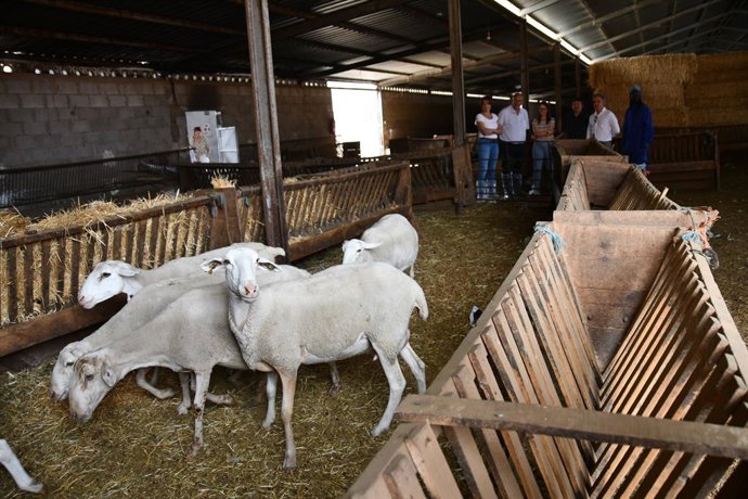 El vicepresidente primero, José Luis Martínez Guijarro.