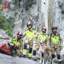 Efectius de bombers amb la gossa rescatada