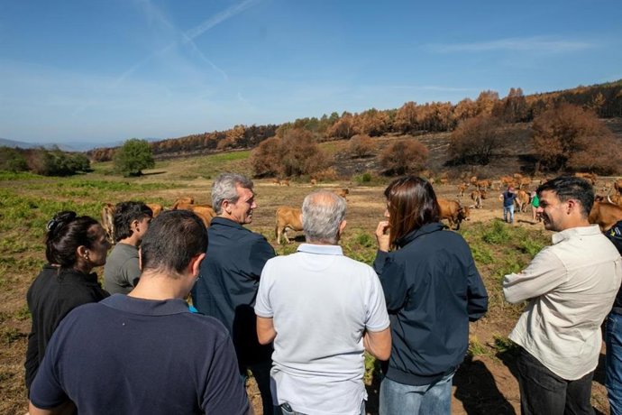 El presidente de la Xunta, Alfonso Rueda, visita una explotación ganadera en Quiroga (Lugo) afectada por los incendios, a 5 de septiembre de 2025.