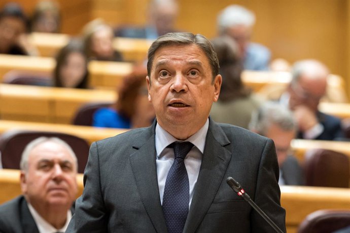 Archivo - El ministro de Agricultura, Pesca y Alimentación, Luis Planas, durante la sesión plenaria del Senado, a 19 de noviembre de 2024, en Madrid (España). En la sesión de control al Gobierno la oposición realizará un total de 19 preguntas sobre la ges