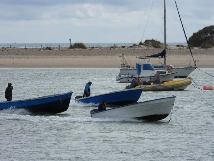 Archivo - Arquivo - Petaqueros em pequenos barcos na costa da província de Cádiz (foto de arquivo).