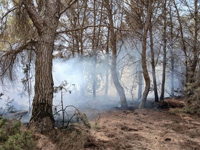 Declarado un incendio forestal en Formentera