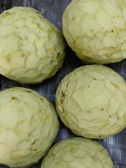 Primeros chirimoyos de la cosecha en tienda