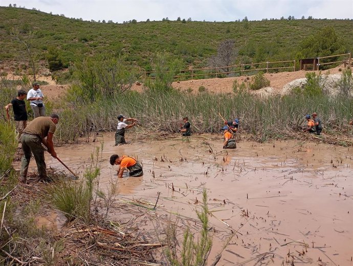 La Generalitat restaura una antigua cantera en la Calderona que servirá de hábitat para anfibios en peligro de extinción     