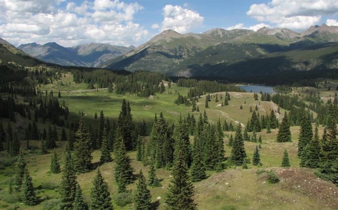 Pradera de Colorado utilizada para el estudio de 20 años de Keith Sockman.