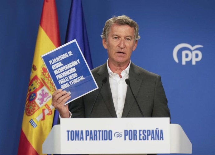 El presidente del PP, Alberto Núñez Feijóo 