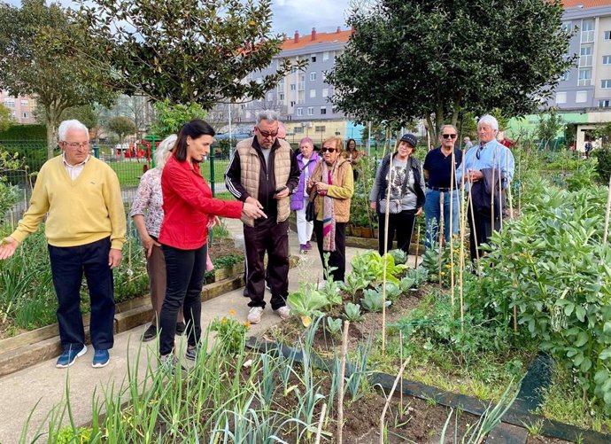 Archivo - Huertos urbanos de Santander. Foto de archivo