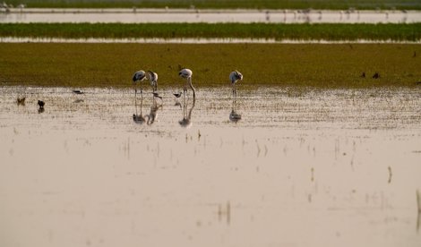 Es Andalucía - Jaén