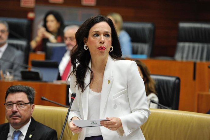 Archivo - La consejera de Salud y Servicios Sociales, Sara García Espada, durante una intervención en un pleno de la Asamblea. Archivo.