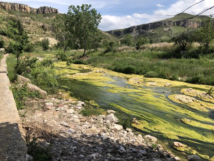 El CITA comienza un nuevo proyecto europeo LIFE que busca mitigar la contaminación por nitratos