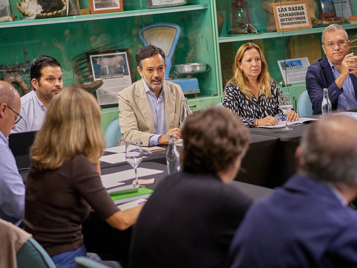 Tenerife Cabildo Urgently Addresses Vine Pest Outbreak with Technical Commission and Support Measures for Winemakers