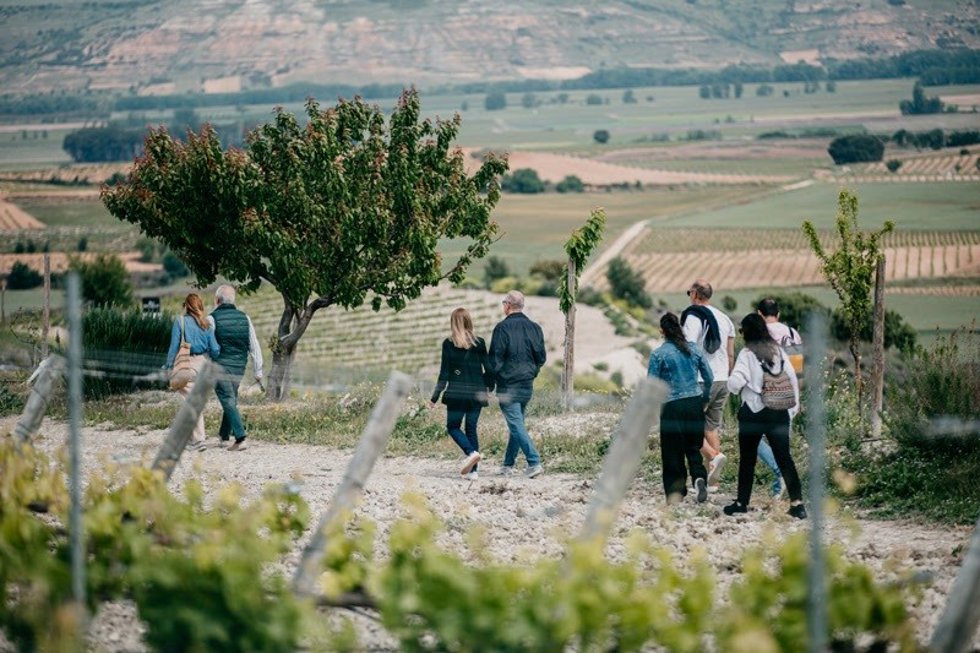 Bodegas Monteabellón