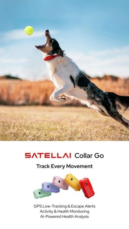 SATELLAI Collar Go