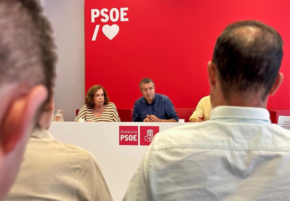 Reunión de la Ejecutiva Provincial socialista, presidida por el secretario general, Javier Fernández.