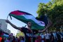 Asociaciones en defensa de Palestina se movilizan este martes para pedir un embargo inmediato de armas a Israel