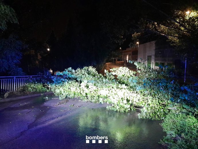 Árbol caído en Vinyoles (Barcelona) este lunes por la noche