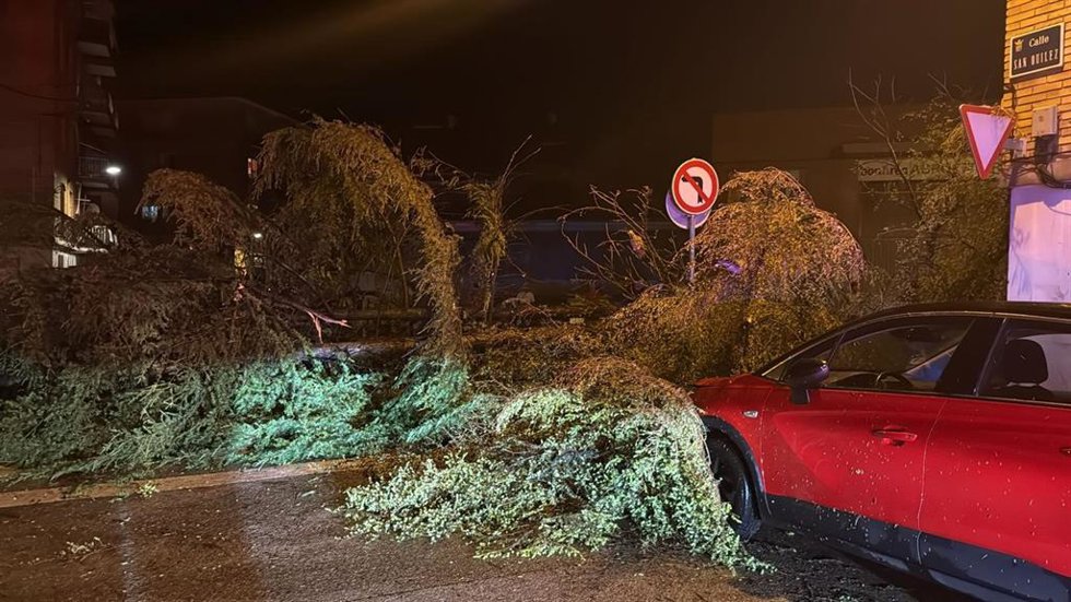 Árbol caído por la fuerte tromba de agua, viento y granizo en Binéfar (Huesca)