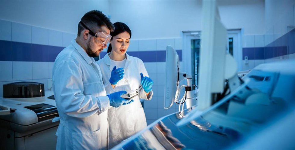 Investigadores
