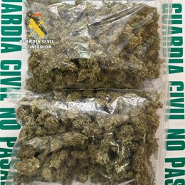 Cannabis incautado en un vehículo en la provincia de Burgos.