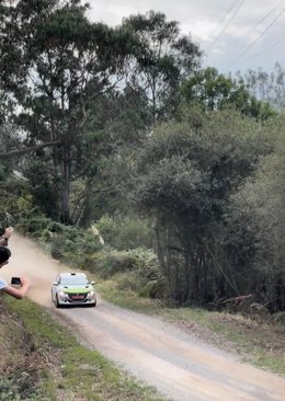 Archivo - Tramo de tierra del Rally Blendio Princesa de Asturias Ciudad de Oviedo 2023 en Llanera.