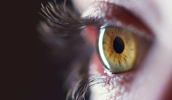 Ojo, retina