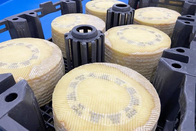 Archivo - Quesos en una cámara de maduración