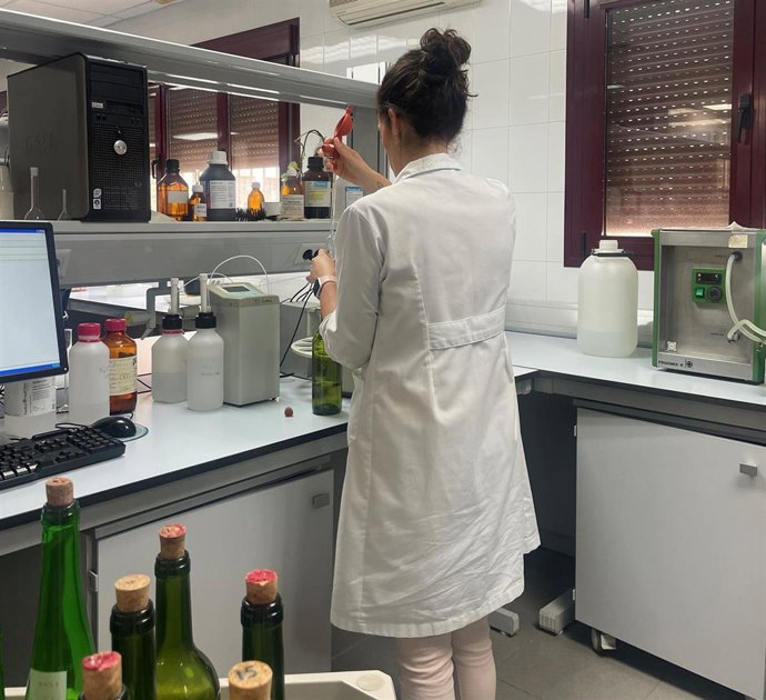 Archivo - Laboratorio de enología en el Instituto Regional de Investigación y Desarrollo Agroalimentario y Forestal de Castilla-La Mancha (IRIAF).