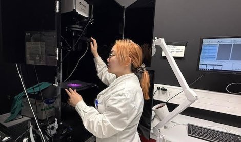 Investigación