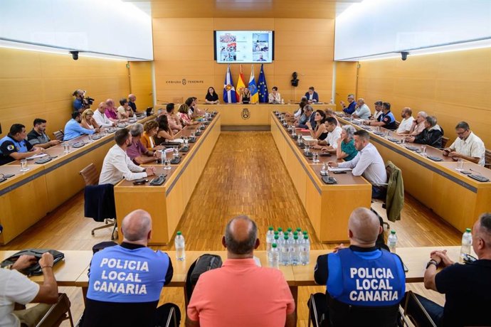 Reunión entre el Cabildo de Tenerife y los ayuntamientos para analizar el riesgo volcánico en la isla
