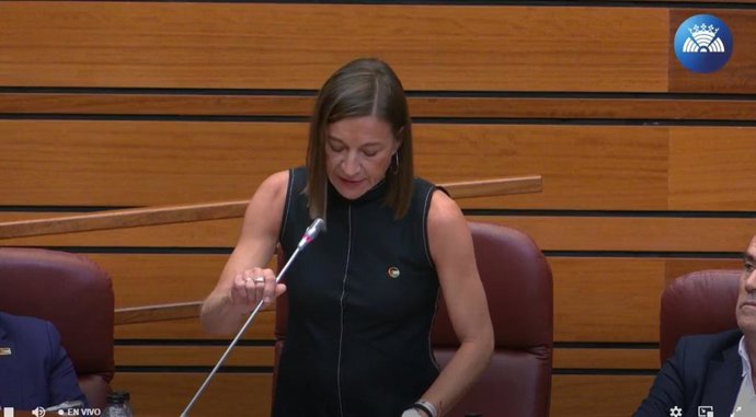 La socialista Laura Pelegrina, durante su intervención en el Pleno de las Cortes.
