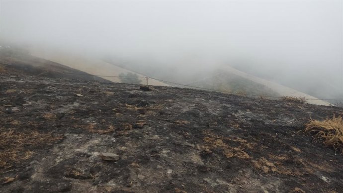 Terrenos cercanos al Santuario del Acebo, en Cangas del Narcea, afectados por los incendios.