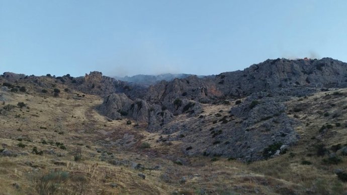 Declarado un incendio en Alcaucín.