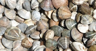 Es Andalucía - Huelva