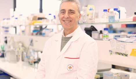 Investigación