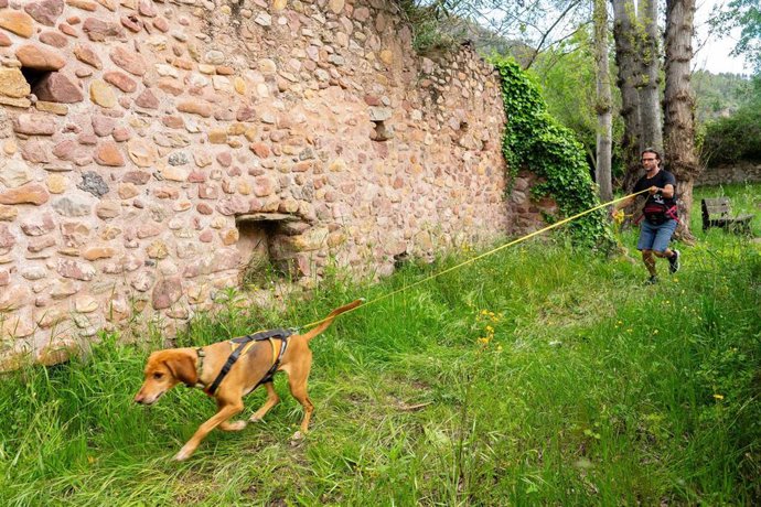Servicio de búsqueda con unidad canina