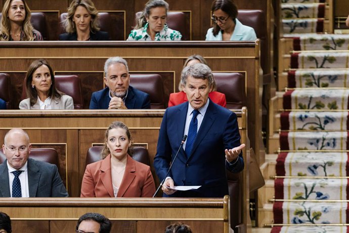 El president del PP, Alberto Núñez Feijóo