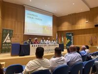Asaja pide "sensibilidad y prudencia" ante los focos de gripe aviar detectados en explotaciones avícolas de Huelva