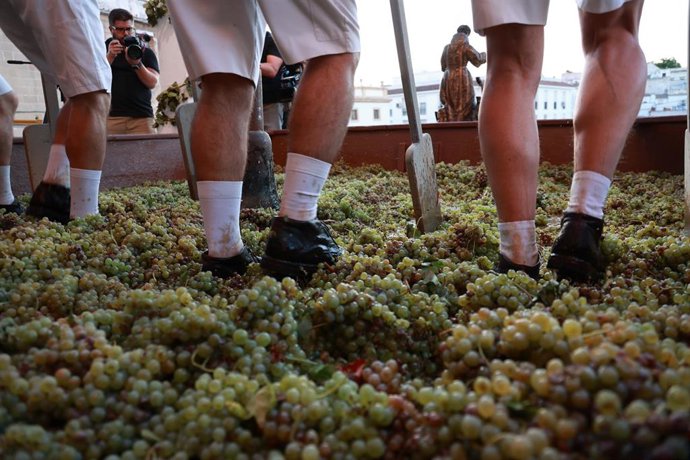 Acto de la Pisa de la Uva, que marca el inicio de las Fiestas de la Vendimia de Jerez de la Frontera. A 02 de septiembre de 2025, en Jerez de la Frontera, Cádiz (Andalucía, España). 