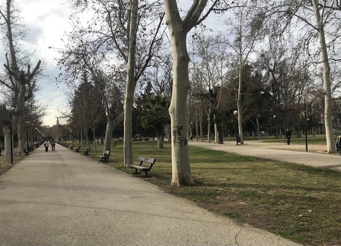 Archivo - Paseo central del Parque Tío Jorge