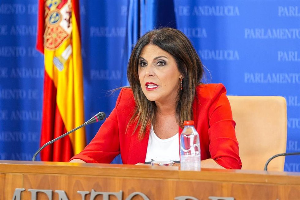 La portavoz adjunta del Grupo Parlamento Socialista, Ángeles Férriz, este miércoles en rueda de prensa.