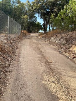Camno de Moguer (Huelva).