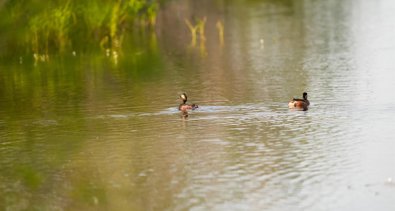 Es Andalucía - Huelva