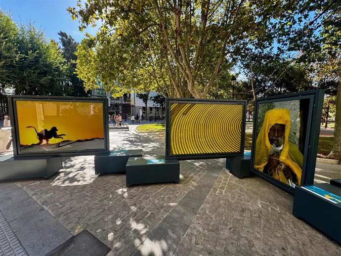 Vista de la exposición 'Colores del mundo' en la Plaza de España de Cádiz