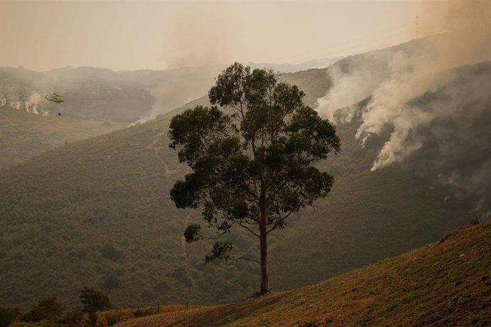 Efectivos aéreos de los bomberos durante las labores de extinción del incendio de Avión en Ourense