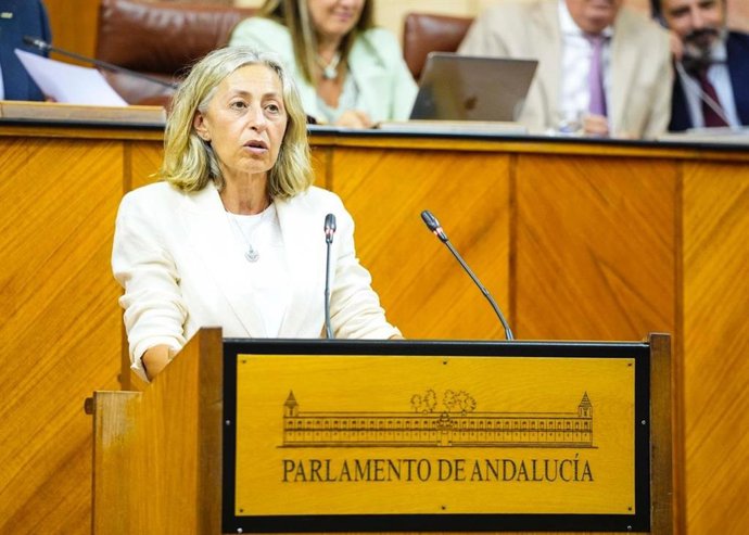 La consejera de Salud, Rocío Hernández, este miércoles durante su comparecencia en el Pleno del Parlamento.