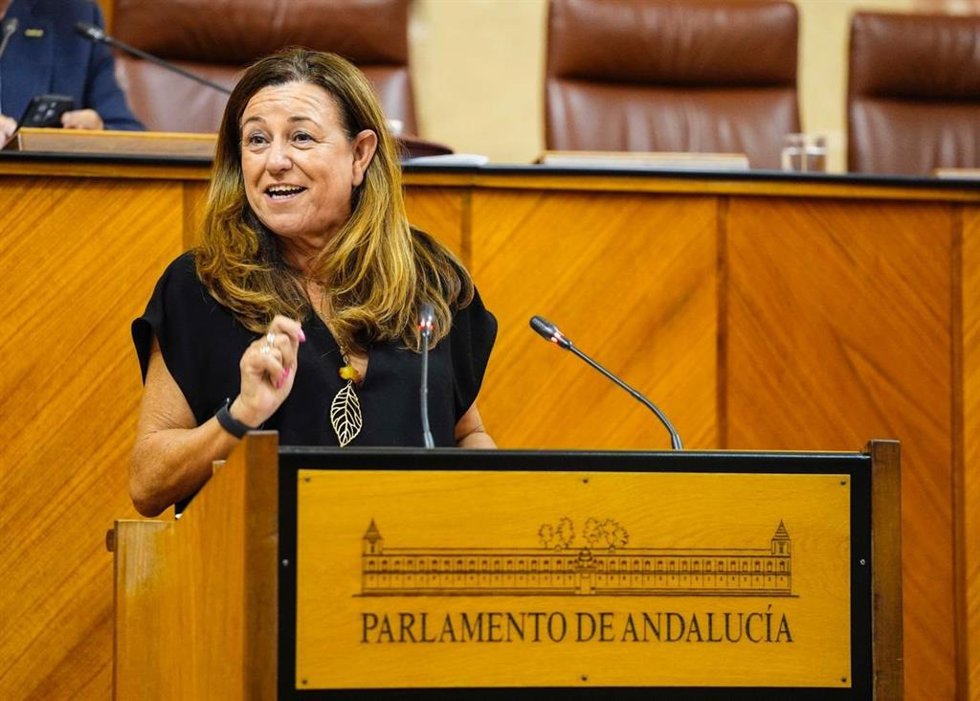 La consejera de Desarrollo Educativo, María del Carmen Castillo, comparece en el Pleno del Parlamento para informar sobre el inicio del curso escolar
