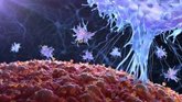 Foto: Descubren cómo los tumores ‘preparan’ tu médula ósea para combatir la inmunoterapia