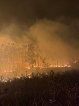 Vídeo de la noticia