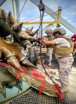 Intervención de La Armada