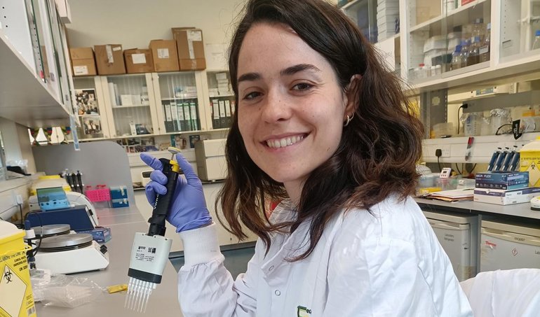 Investigación